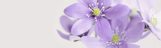 Solution / logiciel de rendez-vous en ligne