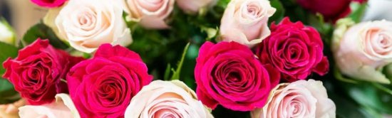 Solution / logiciel de rendez-vous en ligne