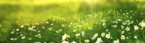 Solution / logiciel de rendez-vous en ligne