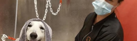 Solution / logiciel de rendez-vous en ligne