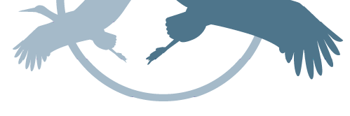 Solution / logiciel de rendez-vous en ligne