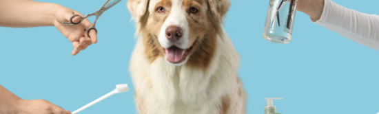 Solution / logiciel de rendez-vous en ligne