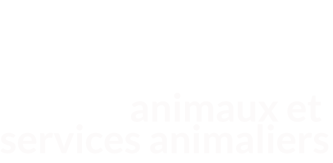 iwana